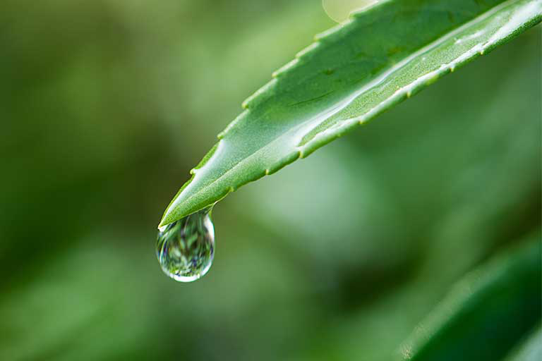 氣候變遷已成為全球關注的話題，隨著人類的生活方式和經濟發展，溫室氣體排放量急劇增加，導致全球氣溫上升，極端氣候事件頻繁發生，威脅著人類的健康和生存。在這種情況下，我們需要尋找有效的解決方案來應對氣候變遷問題。本文將探討氣候變遷的解決方案，包括降低碳排放、清潔能源、能源效率、植...
